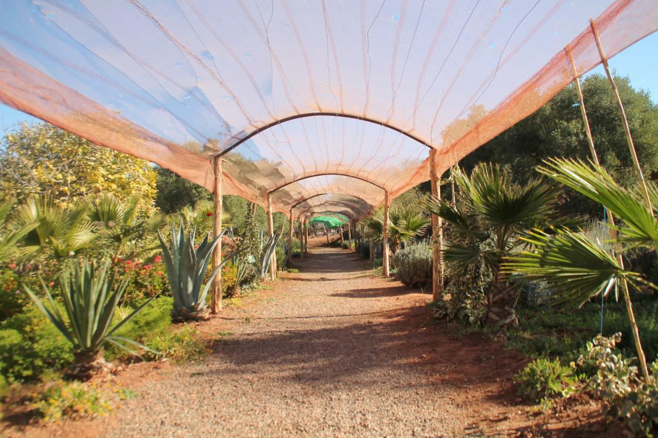 Ecolodge Espace Tamount Demnat Luaran gambar